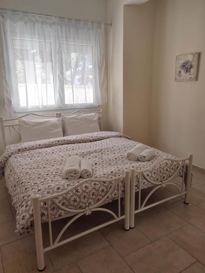 PalaiónTsiflíkion Villa Vasiliki מראה חיצוני תמונה